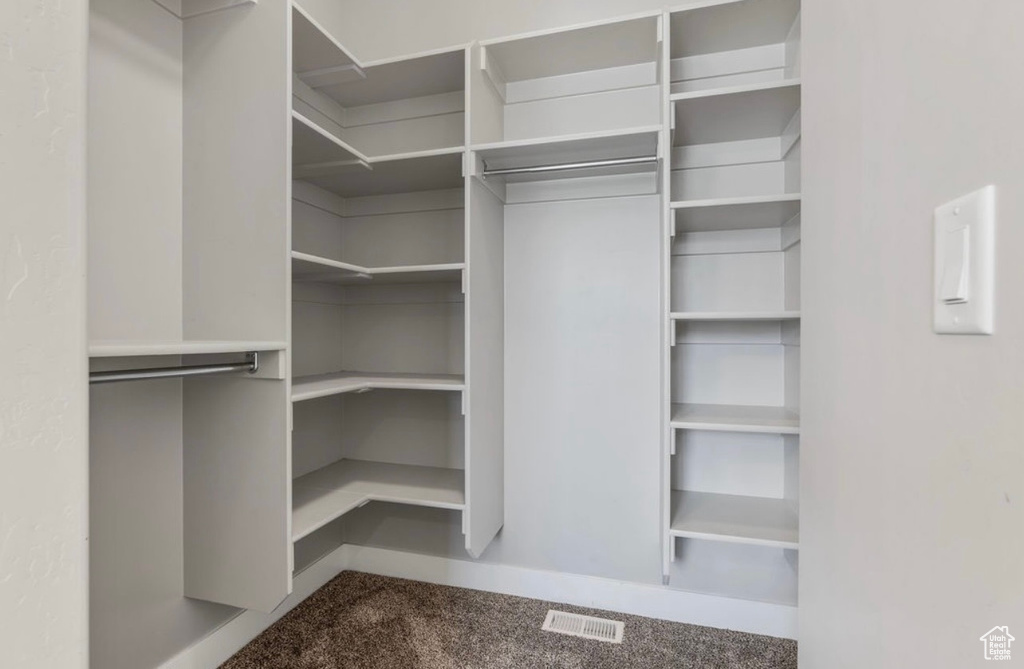 Spacious closet with carpet floors