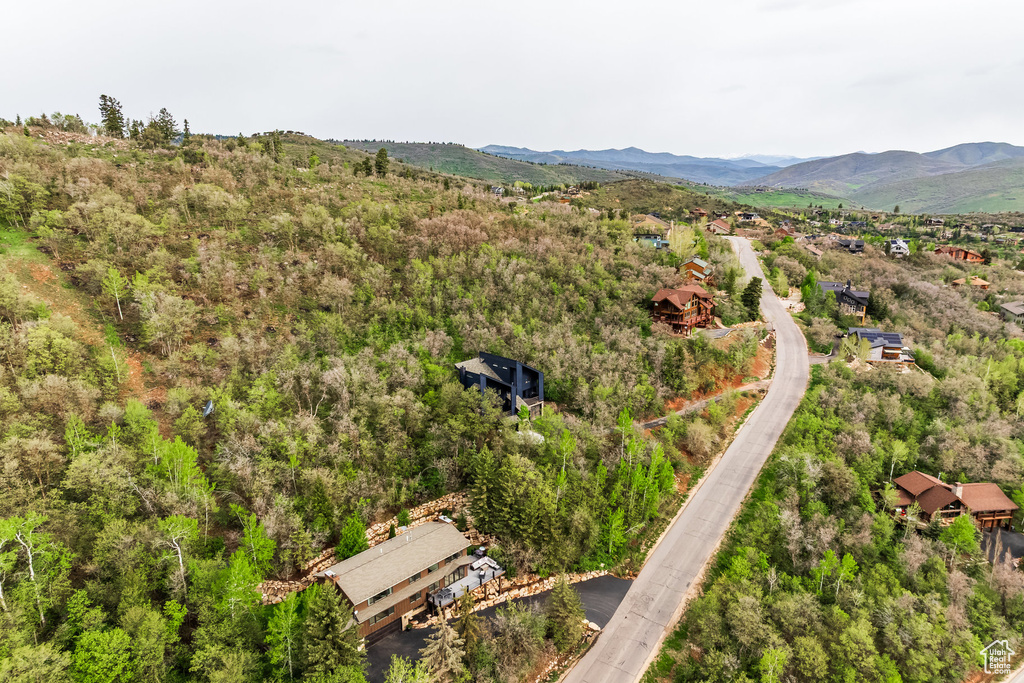 Drone / aerial view of a mountainous background and a forest