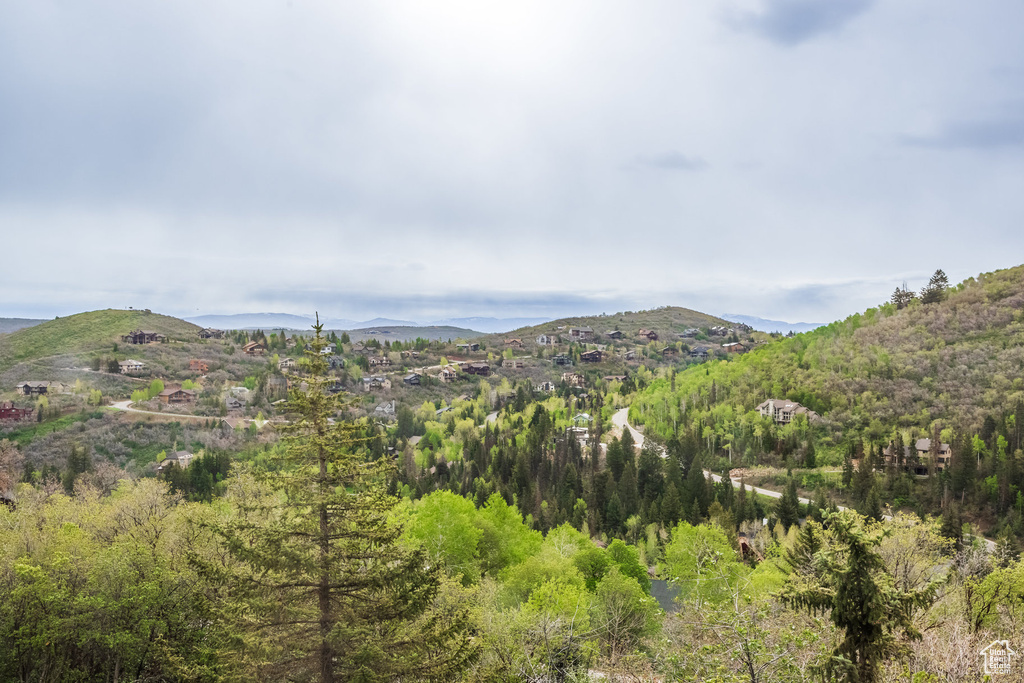 Mountain view