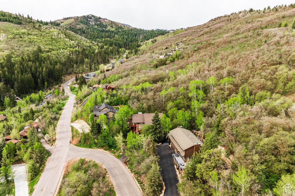 Bird's eye view of a mountain backdrop and a heavily wooded area
