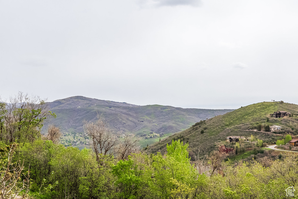 Mountain view