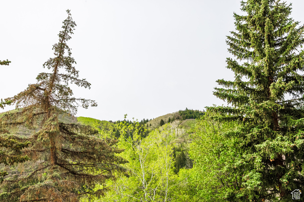 View of nature with mountains