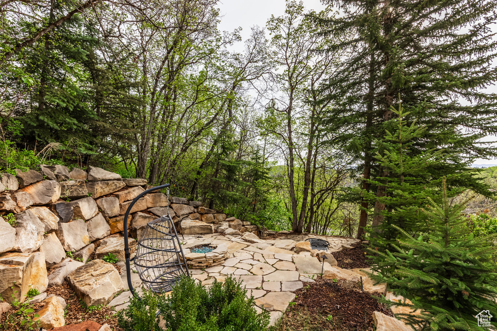 View of yard featuring a fire pit and a patio