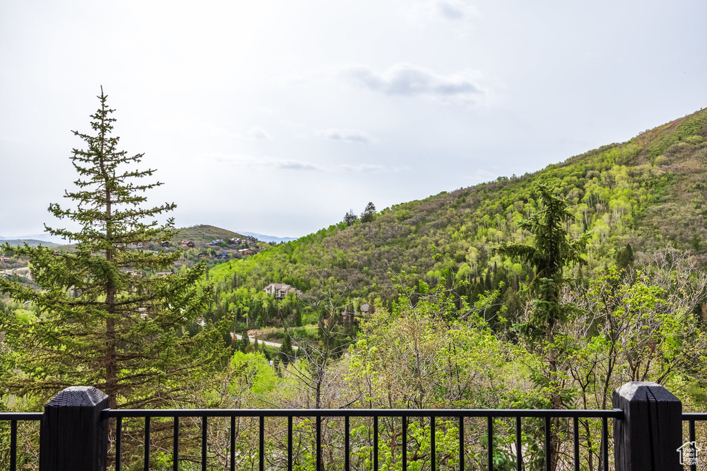 View of mountain background with a heavily wooded area