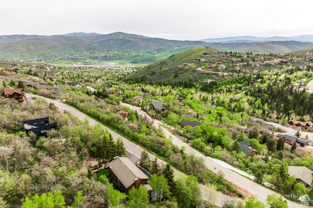 Bird's eye view of a mountainous background