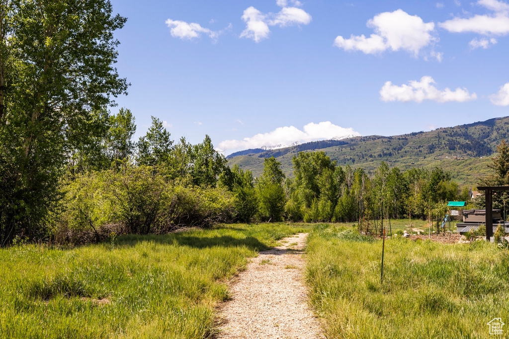View of mountain background