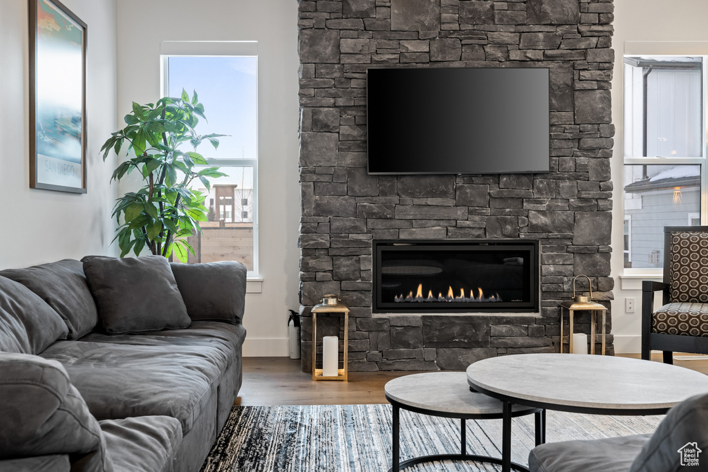 Living area featuring wood finished floors and a fireplace