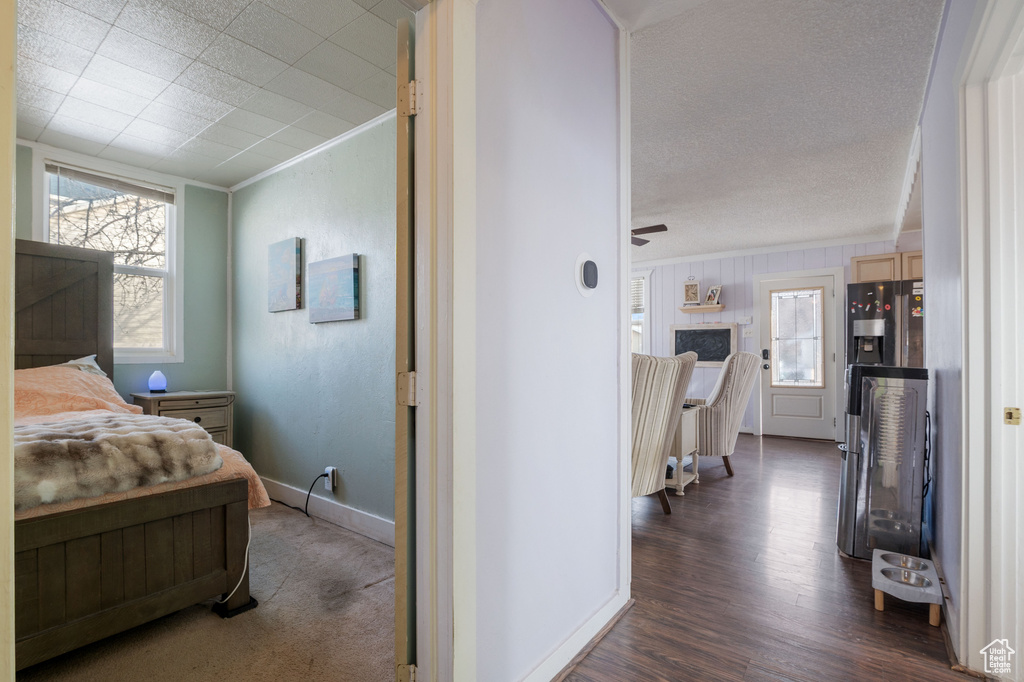 Bedroom with multiple windows, ornamental molding, dark wood-style flooring, and baseboards