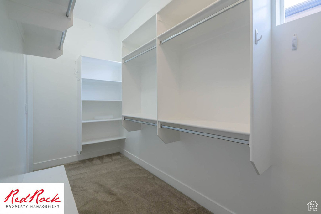 Spacious closet with carpet floors