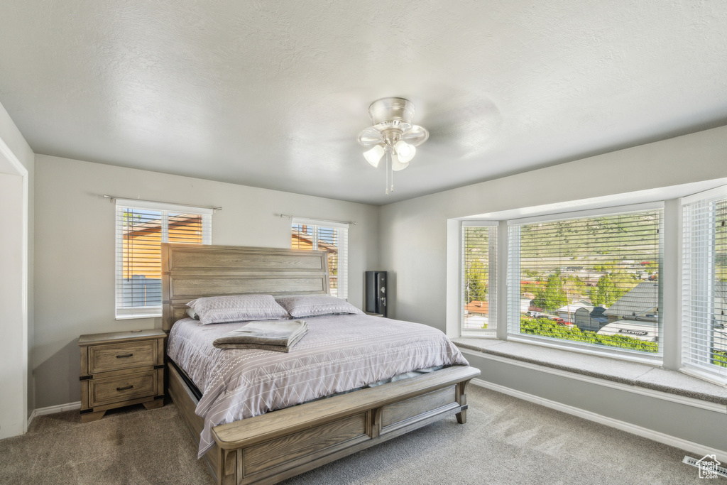 Bedroom featuring carpet, multiple windows, and baseboards