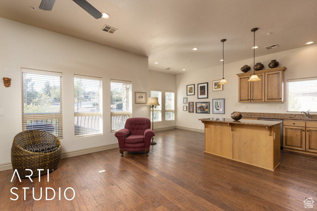 Kitchen with a kitchen island, a sink, dark wood-style floors, plenty of natural light, and recessed lighting