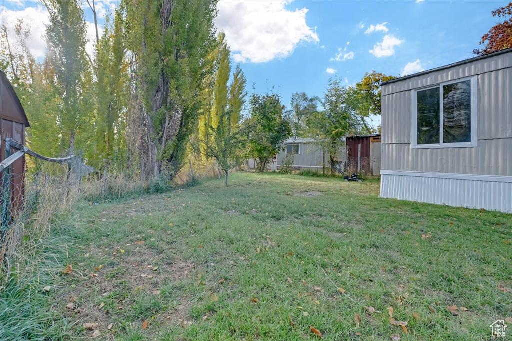 View of grassy yard