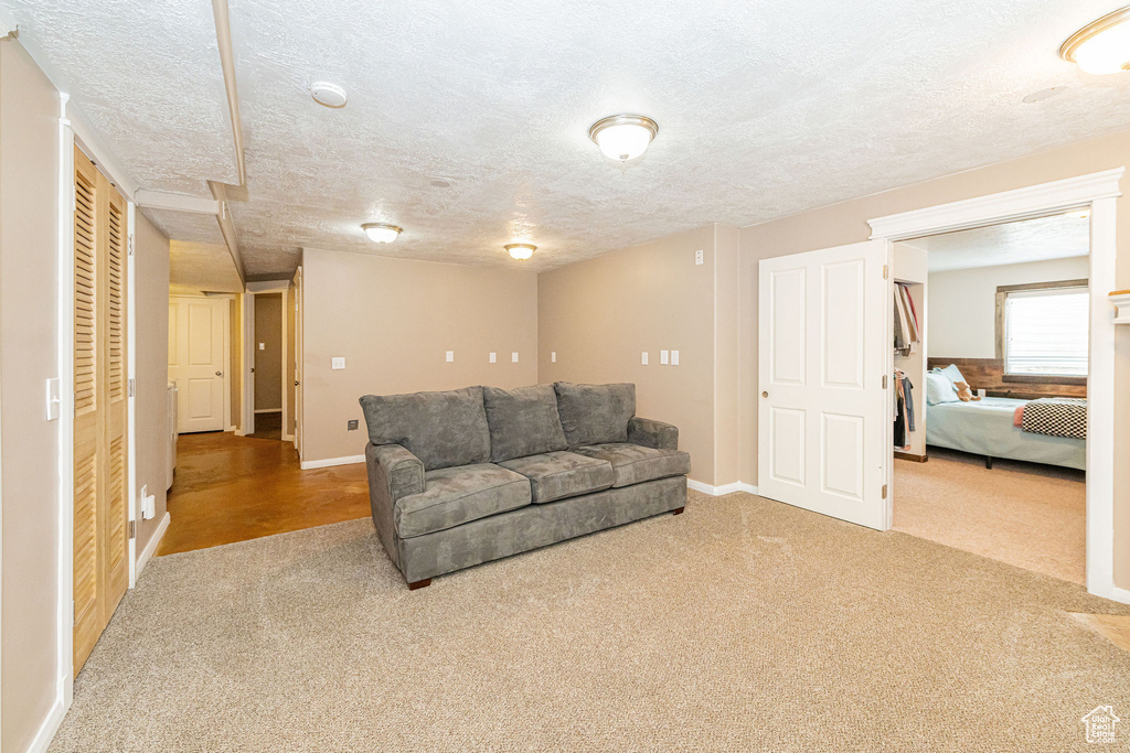 Living room with carpet flooring, a textured ceiling, and baseboards