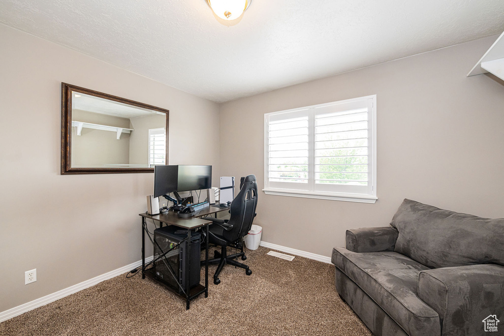 Office area featuring plenty of natural light, carpet flooring, and baseboards