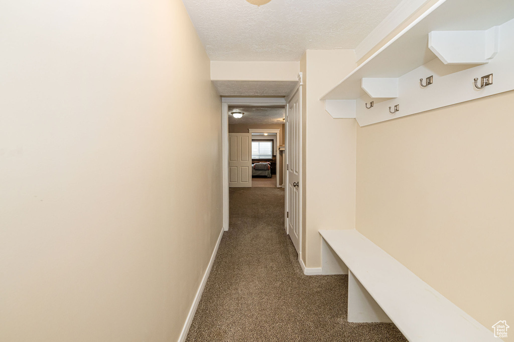 Mudroom with dark colored carpet, a textured ceiling, and baseboards