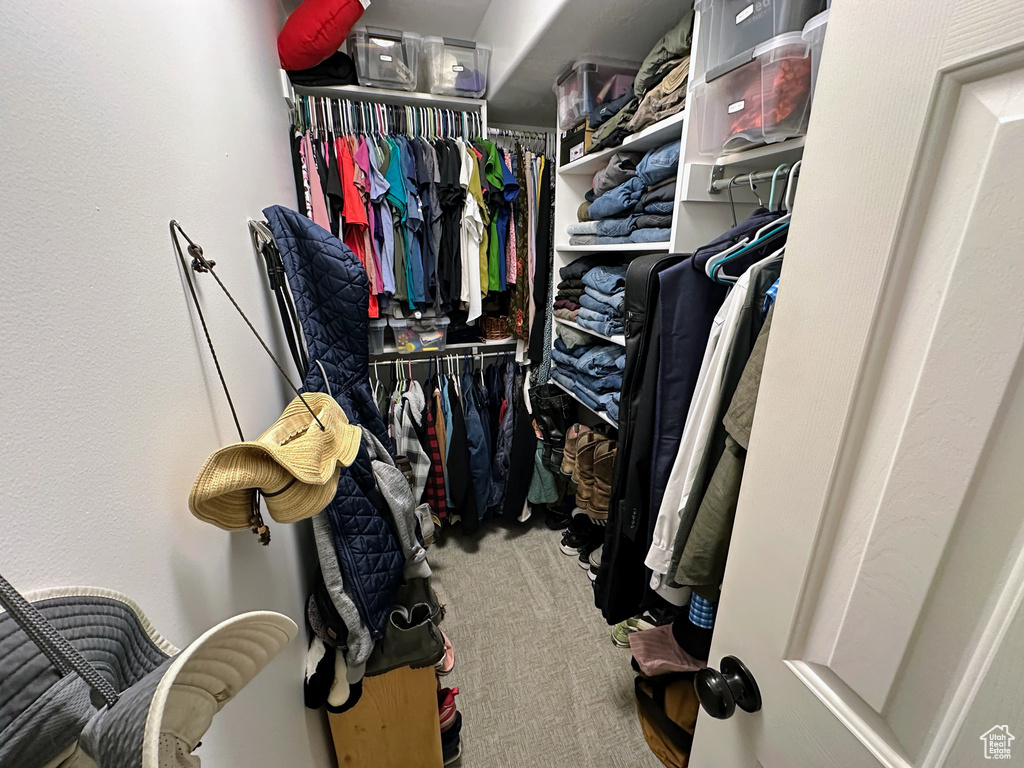 Spacious closet with carpet flooring