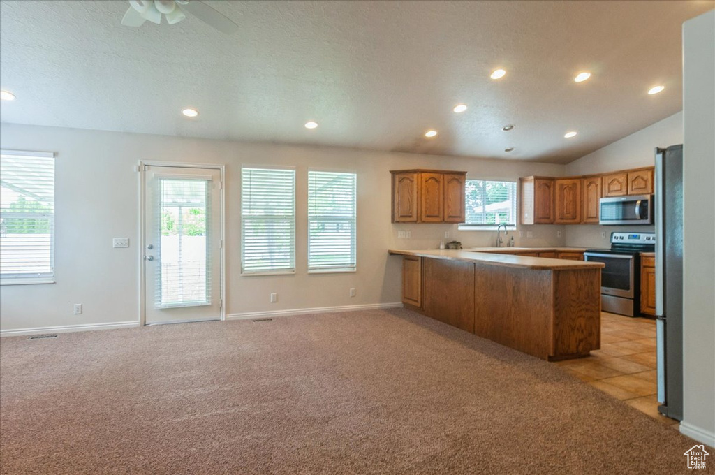 Kitchen with appliances with stainless steel finishes, recessed lighting, light colored carpet, a peninsula, and a sink