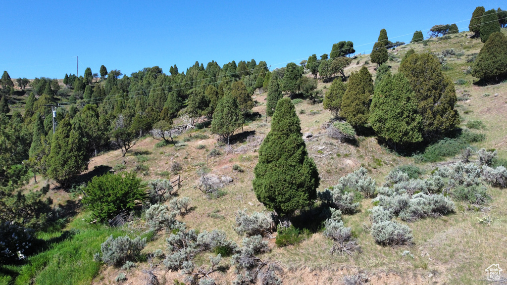 View of undeveloped land