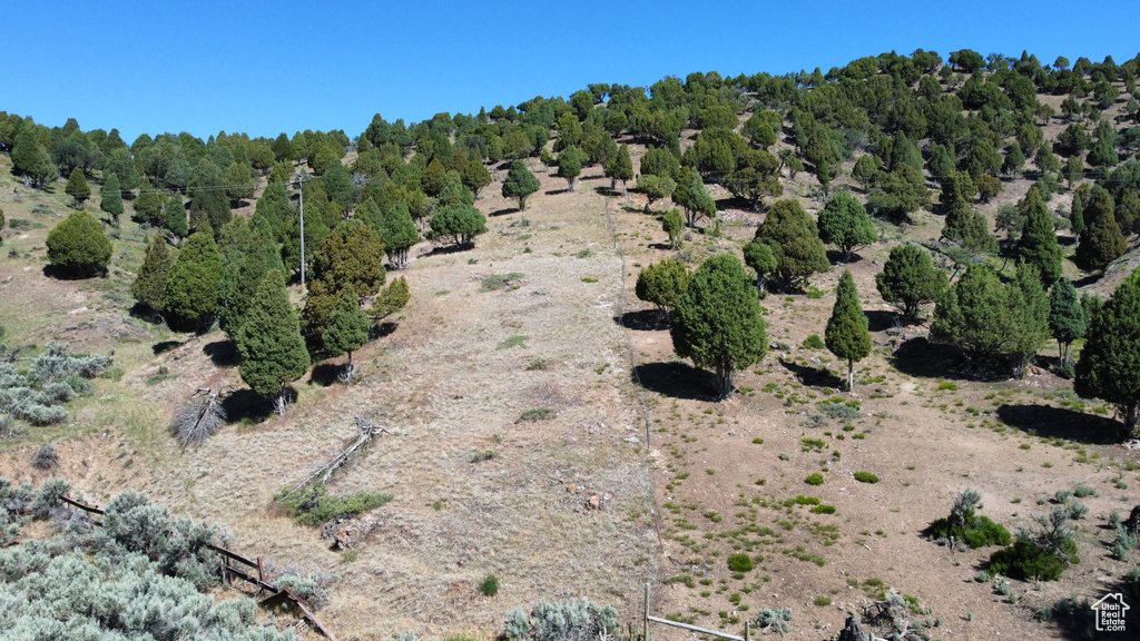 View of undeveloped land