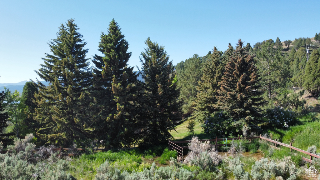 View of wooded area