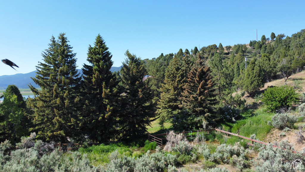 View of mountain backdrop featuring a forest