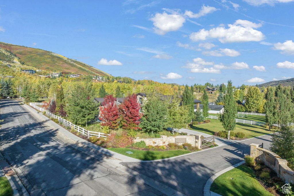 View of mountain backdrop with a heavily wooded area