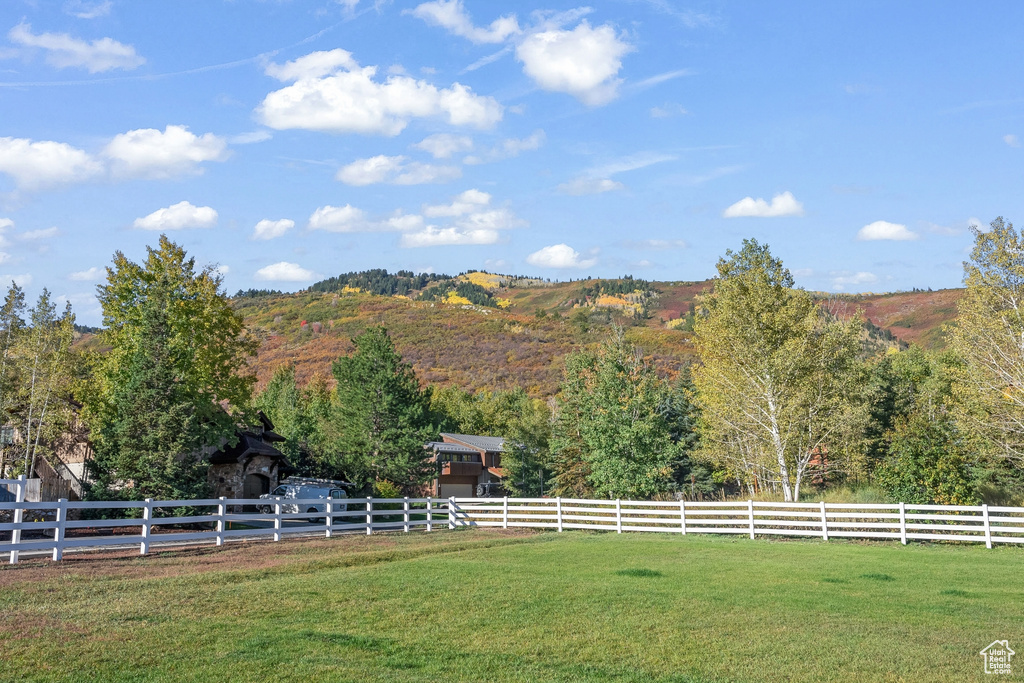 View of yard with a view of trees