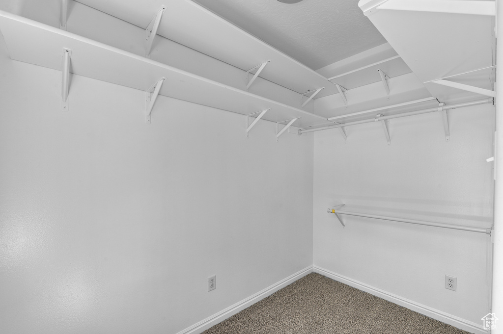 Walk in closet with carpet