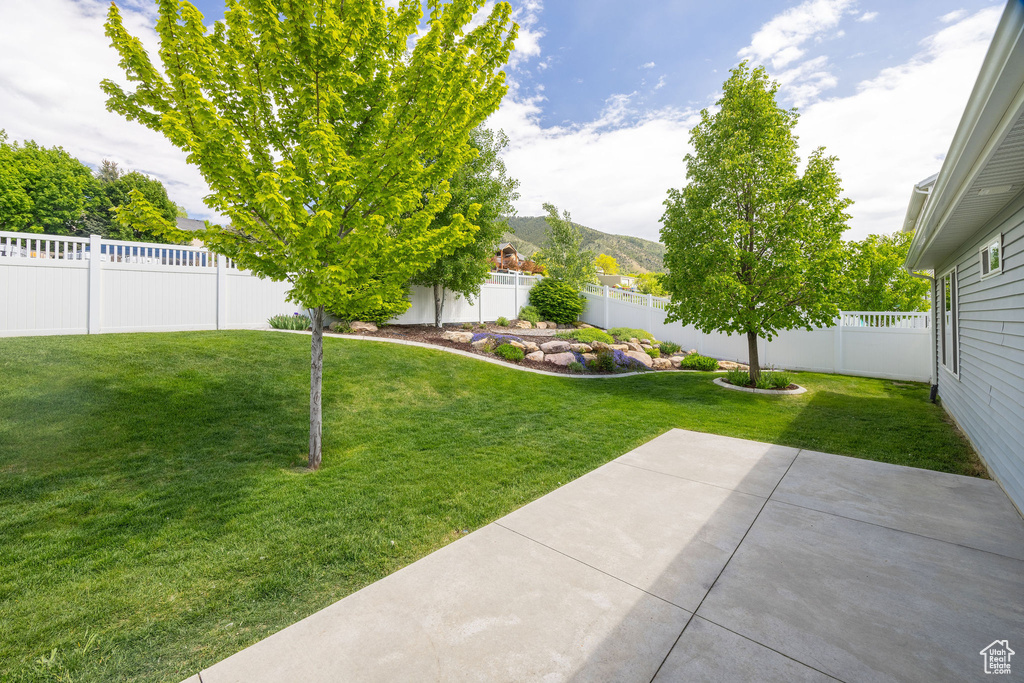 View of yard with a patio area and a mountain view