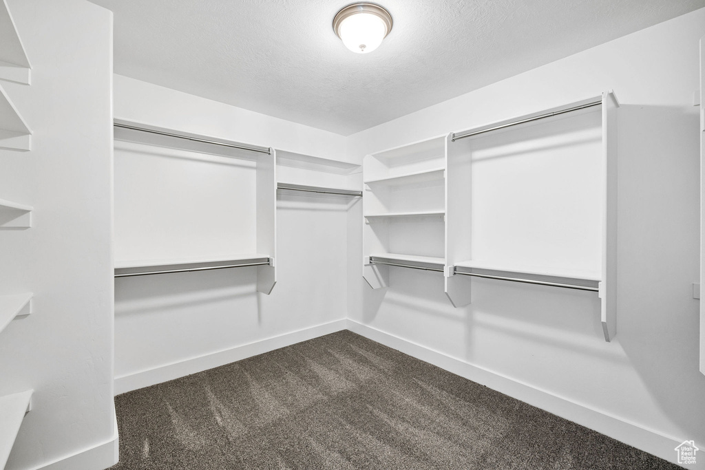 Walk in closet featuring dark colored carpet