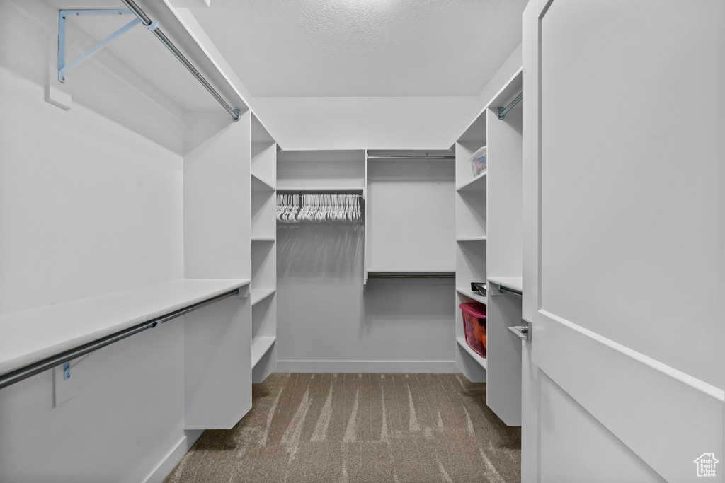 Spacious closet featuring dark colored carpet