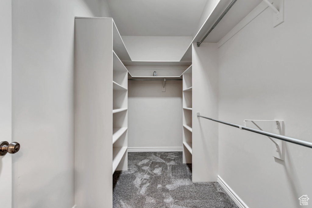 Walk in closet with carpet