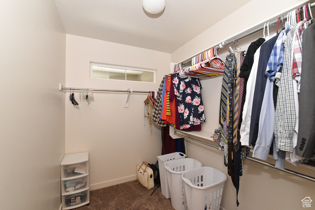 Walk in closet with carpet