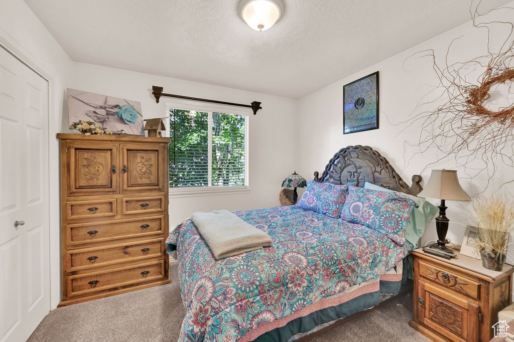 Carpeted bedroom featuring a textured ceiling
