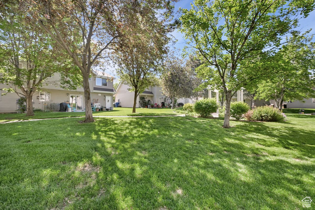 View of grassy yard