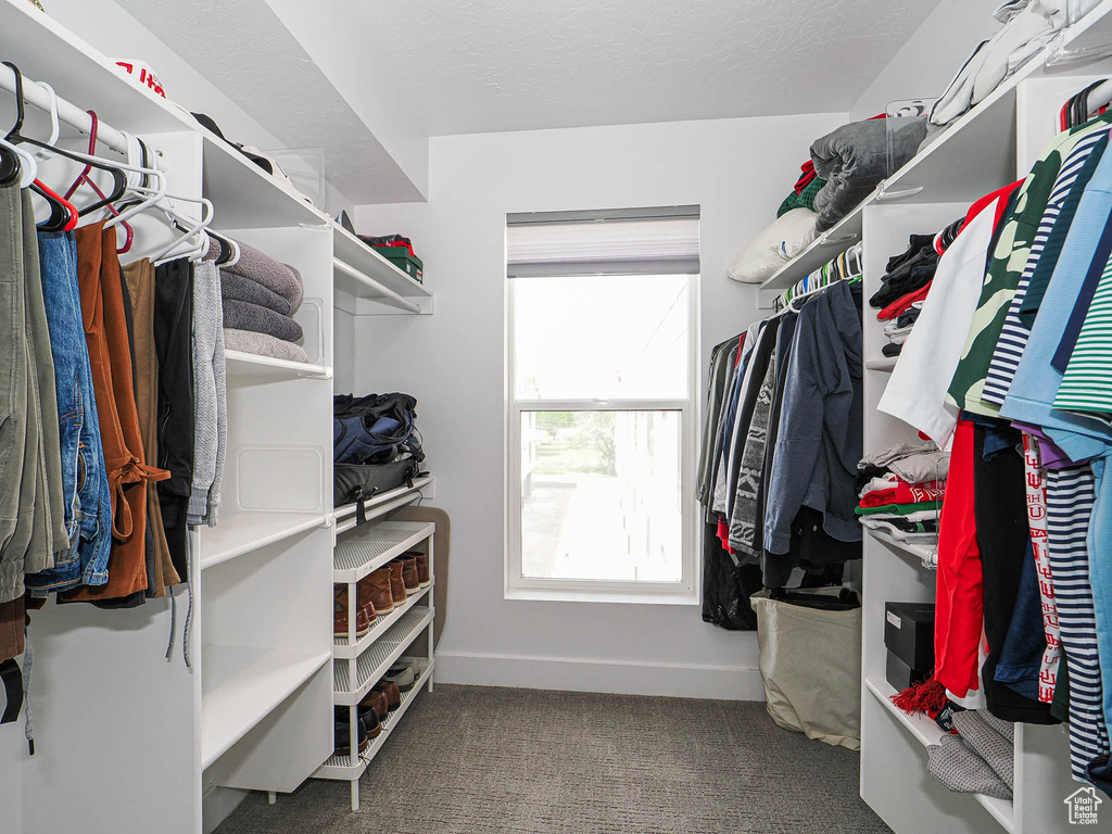 Spacious closet with carpet