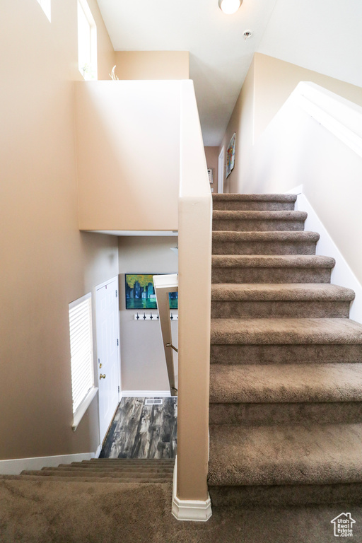 Stairs with carpet