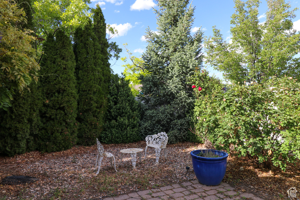 View of patio
