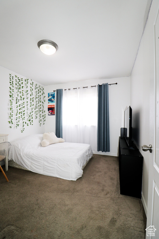 Carpeted bedroom with multiple windows