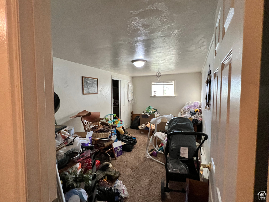 Living area featuring carpet flooring