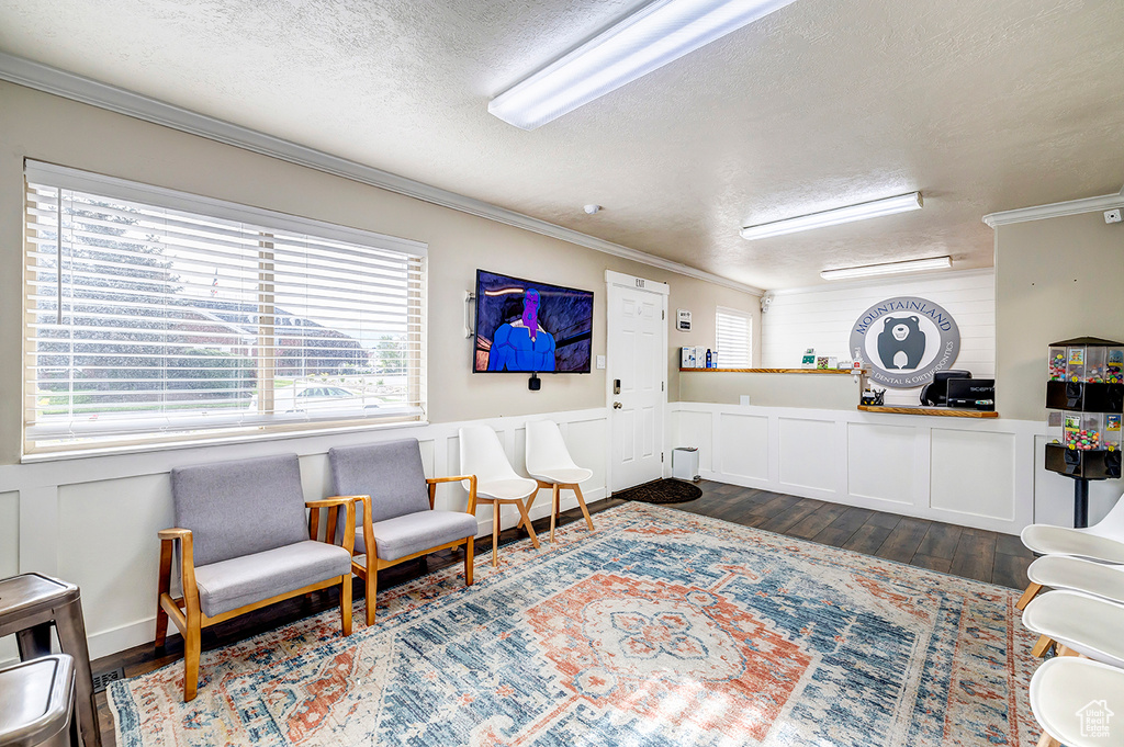 Living area with ornamental molding, a textured ceiling, dark wood finished floors, and a decorative wall