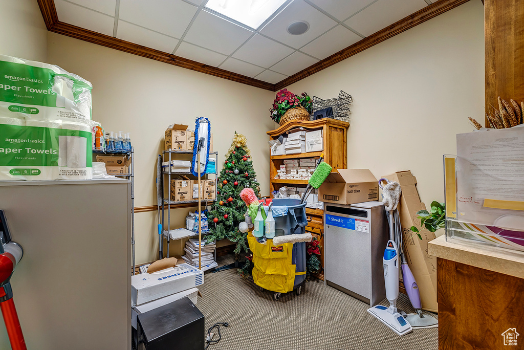 Miscellaneous room featuring carpet flooring and ornamental molding
