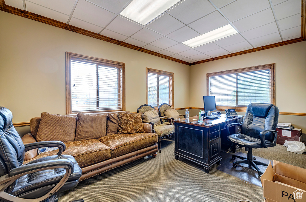 Office featuring ornamental molding and carpet floors