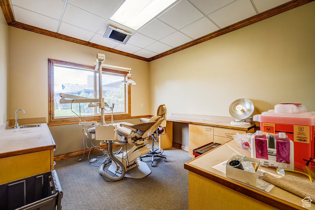 Office space featuring crown molding, carpet floors, a sink, and baseboards