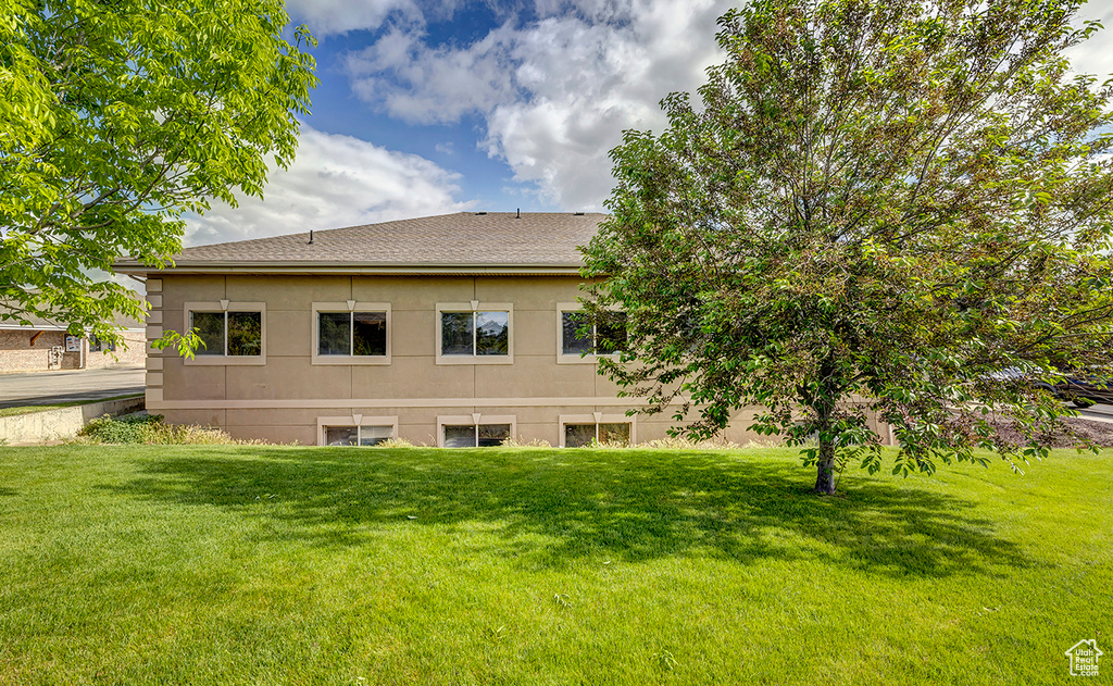Back of property with a lawn, a shingled roof, and stucco siding