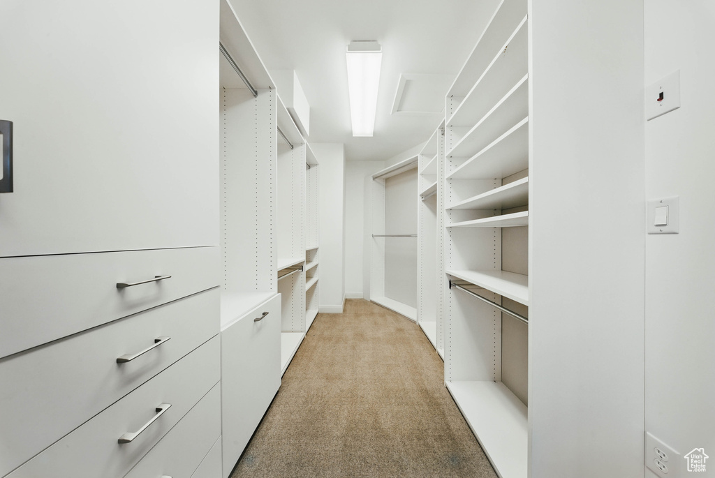 Walk in closet featuring light carpet