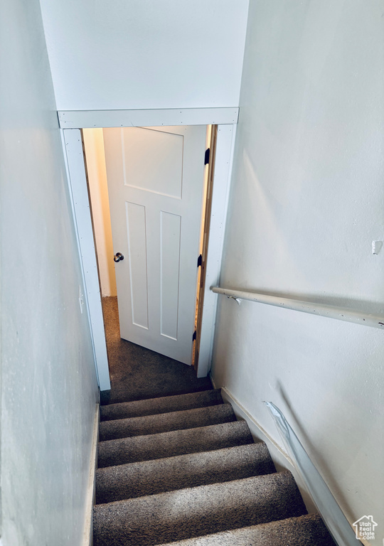 Stairs with carpet
