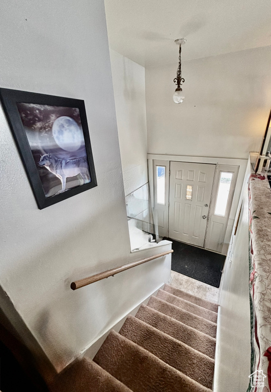 Stairs with carpet flooring