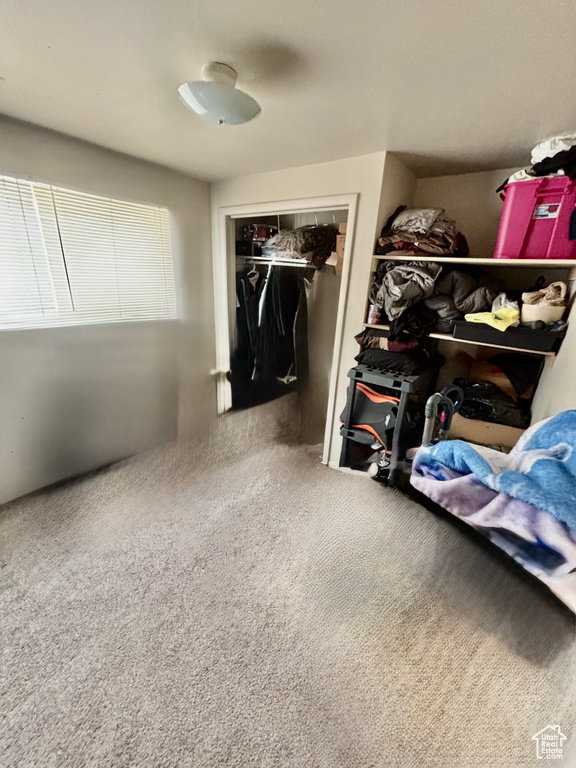 Bedroom with carpet floors and a closet