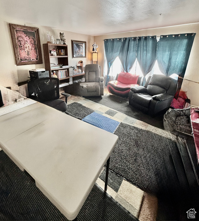 Carpeted living area with a textured ceiling